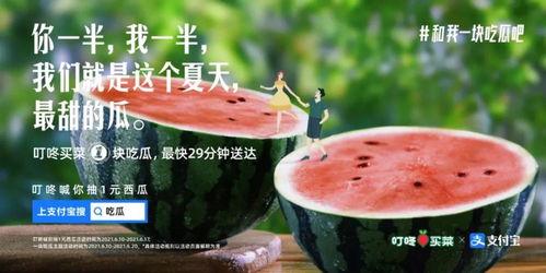 吃瓜圆,探寻美食背后的故事与魅力